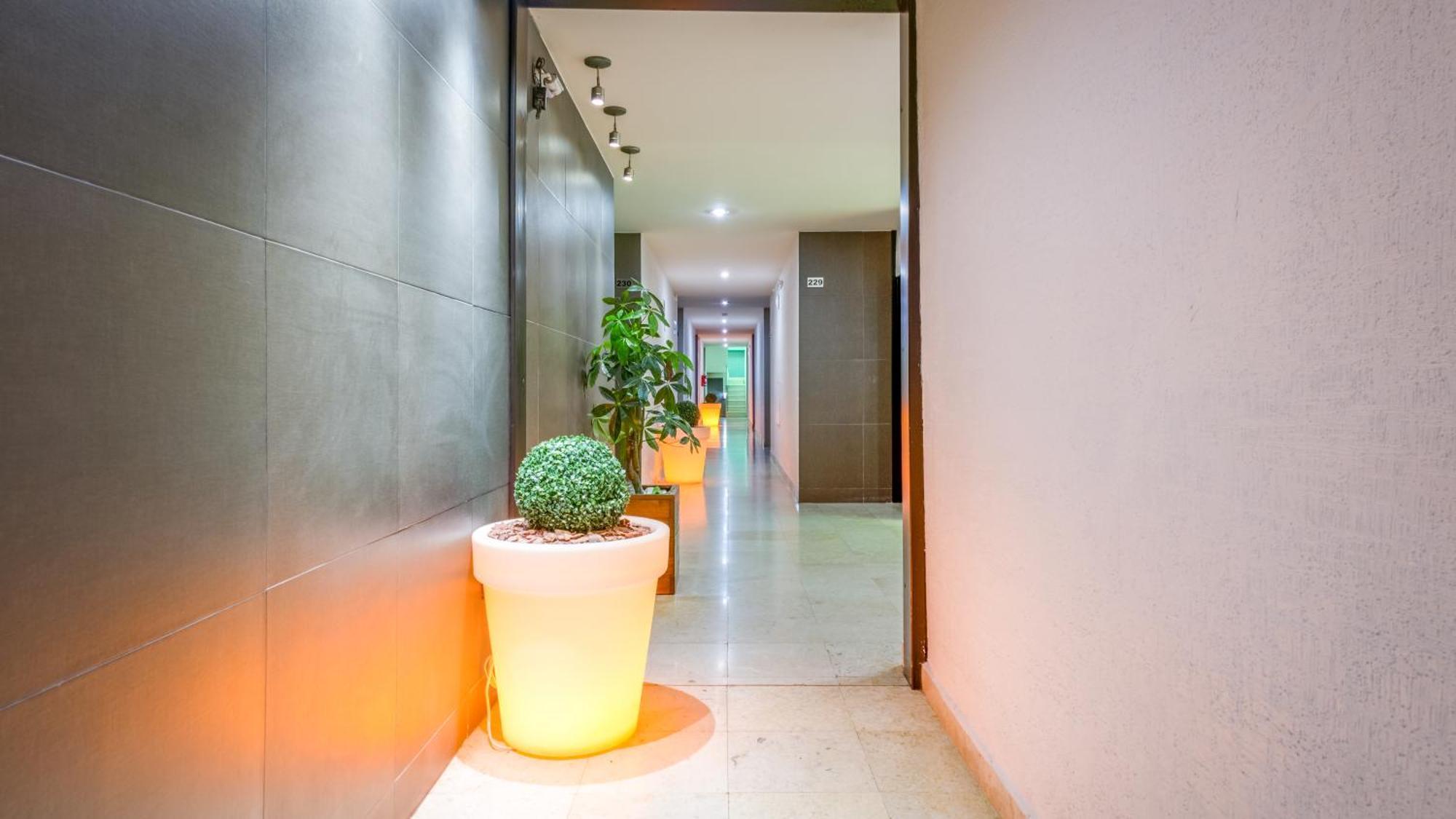 Homesuites Rotarismo Culiacán Exterior foto